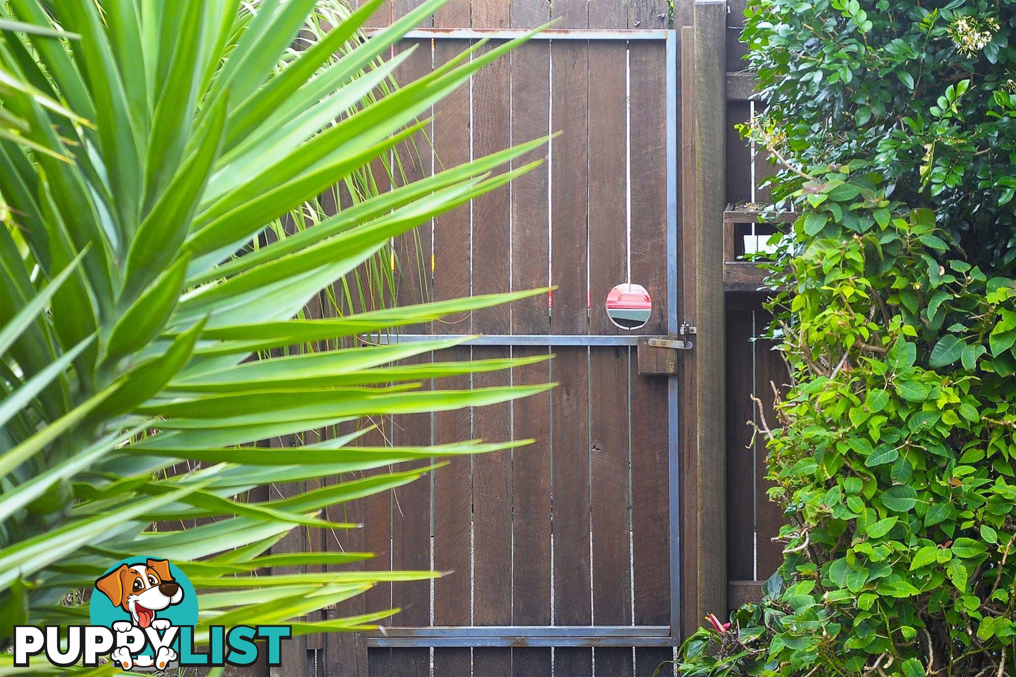 5/19 Elizabeth Street POTTSVILLE NSW 2489