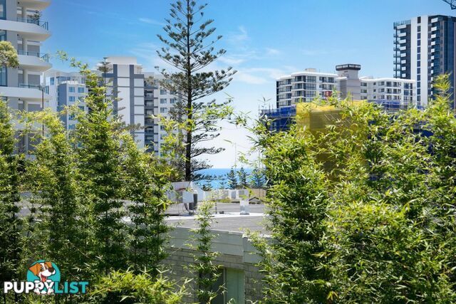 10/126 Musgrave Street COOLANGATTA QLD 4225