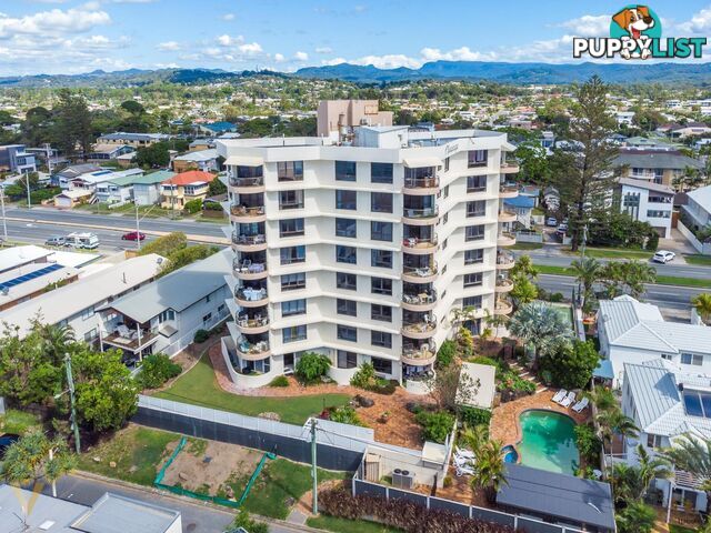 3/1187 Gold Coast Highway PALM BEACH QLD 4221