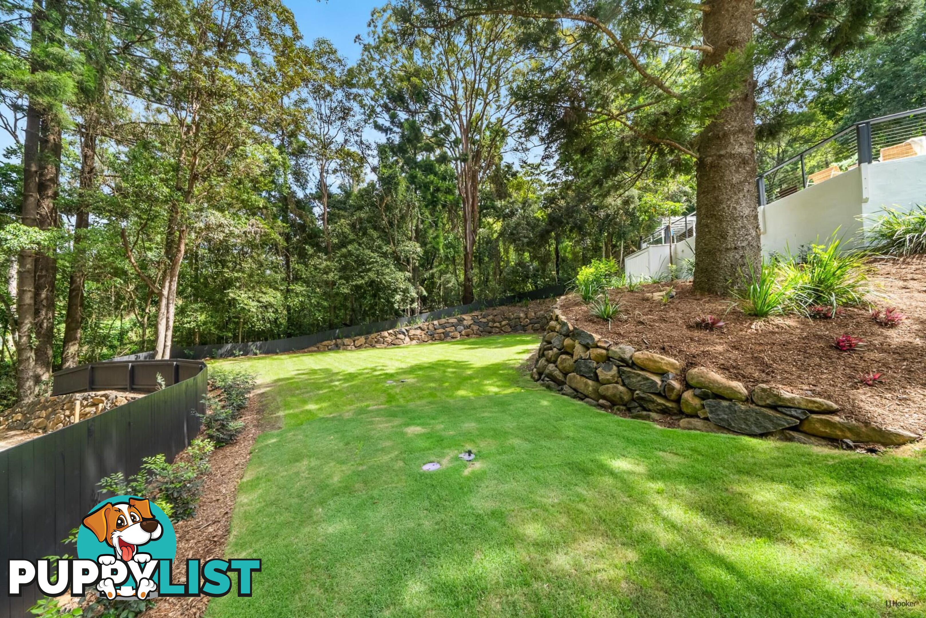 493 Tallebudgera Connection Road CURRUMBIN VALLEY QLD 4223