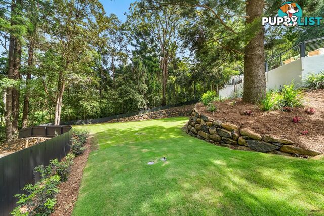 493 Tallebudgera Connection Road CURRUMBIN VALLEY QLD 4223