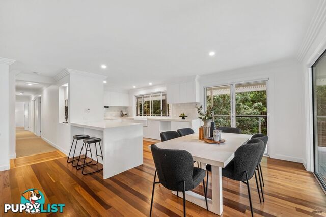 493 Tallebudgera Connection Road CURRUMBIN VALLEY QLD 4223