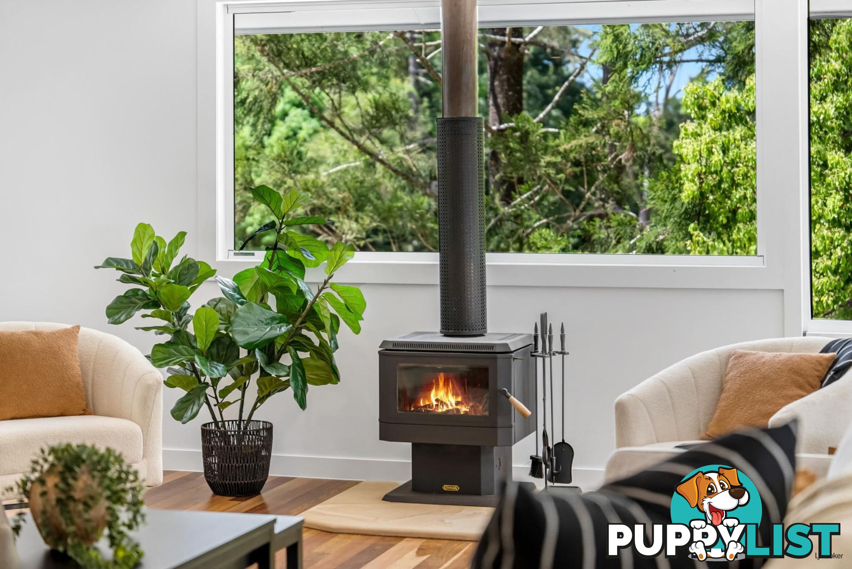 493 Tallebudgera Connection Road CURRUMBIN VALLEY QLD 4223