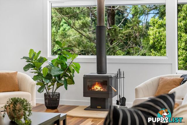 493 Tallebudgera Connection Road CURRUMBIN VALLEY QLD 4223