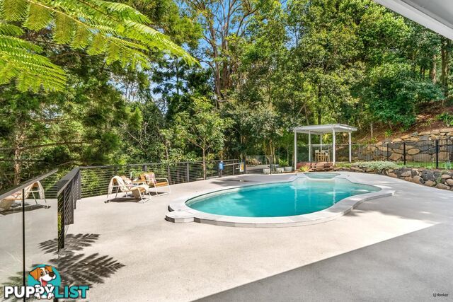 493 Tallebudgera Connection Road CURRUMBIN VALLEY QLD 4223