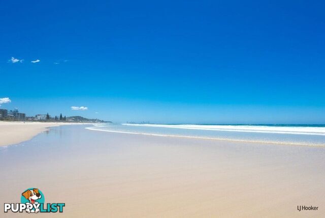 101 & 102/321 Golden Four Drive TUGUN QLD 4224