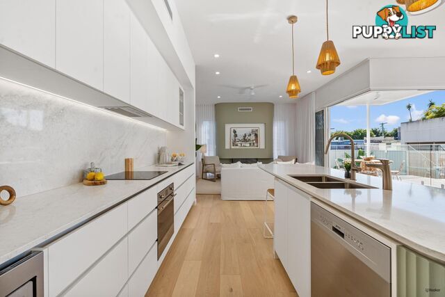 4 Philippine Lane PALM BEACH QLD 4221