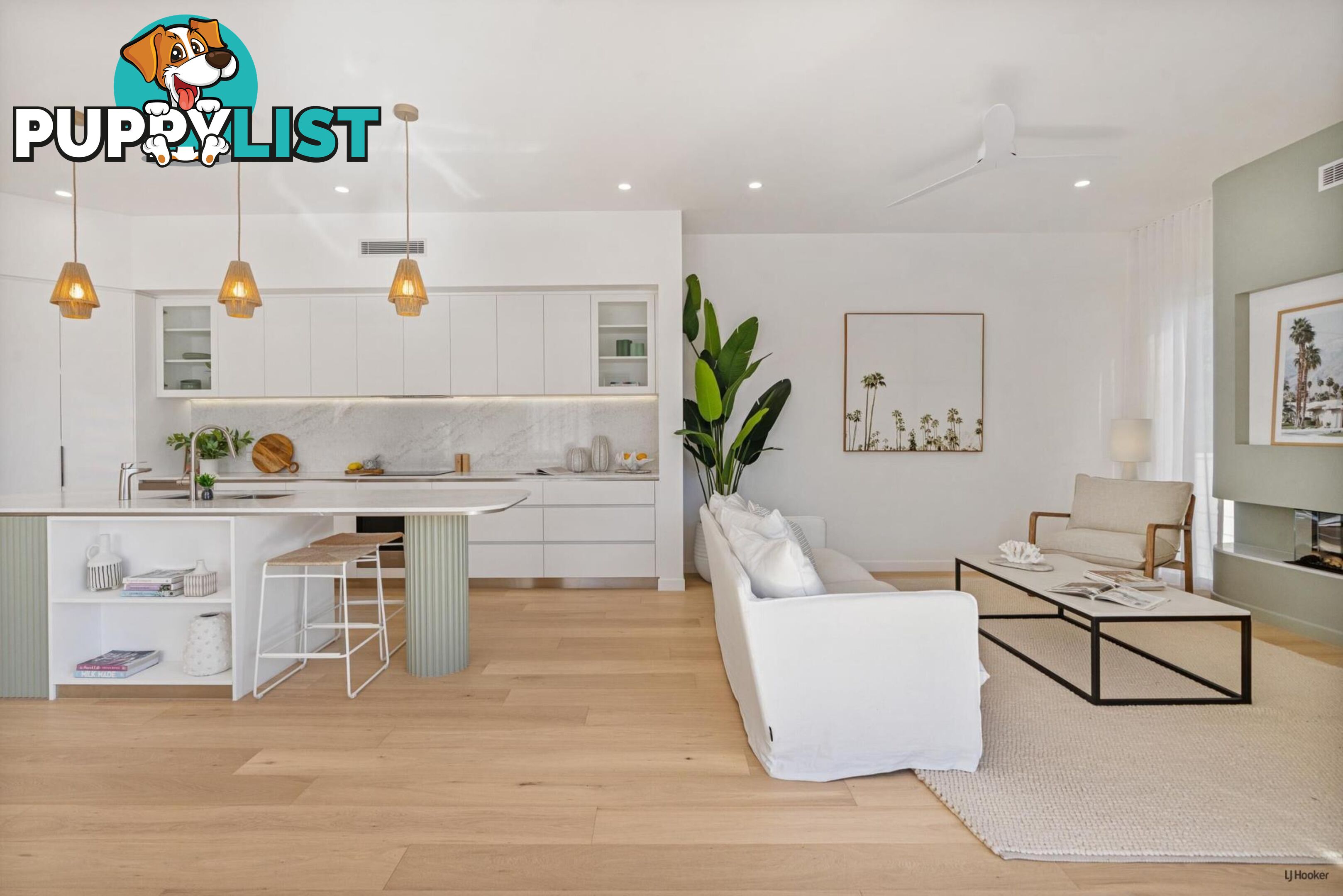 4 Philippine Lane PALM BEACH QLD 4221