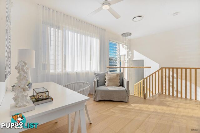 4 Philippine Lane PALM BEACH QLD 4221