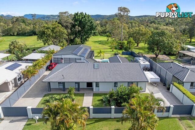 23 Daffodil Street TALLEBUDGERA QLD 4228