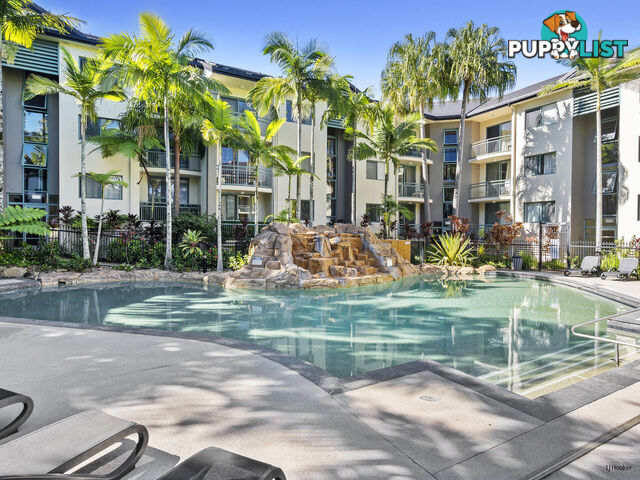 104/955 Gold Coast Highway PALM BEACH QLD 4221