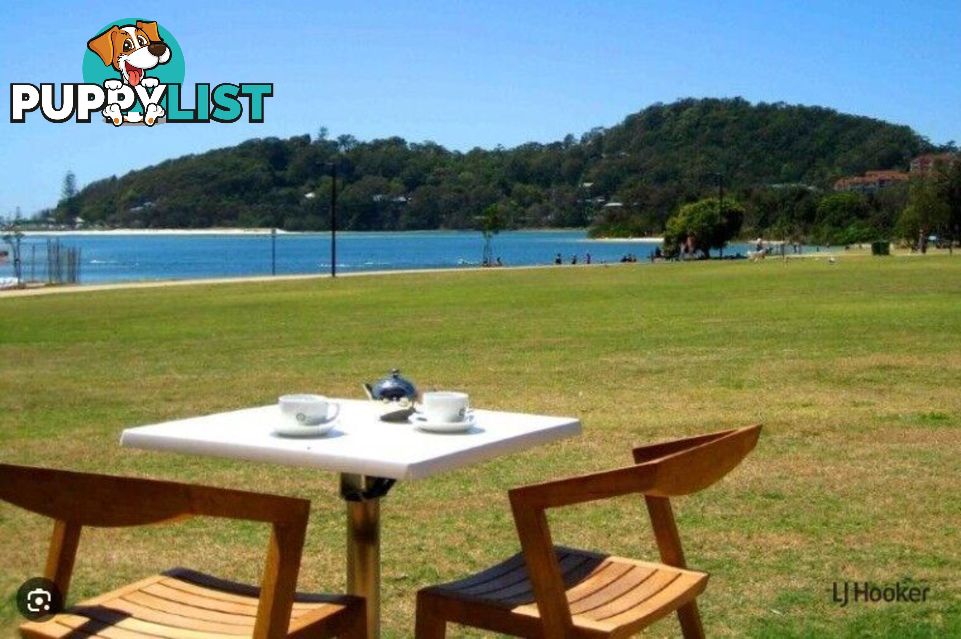 104/955 Gold Coast Highway PALM BEACH QLD 4221