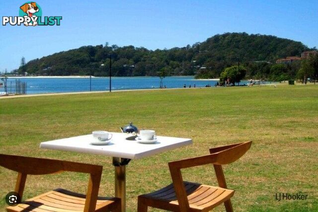 104/955 Gold Coast Highway PALM BEACH QLD 4221