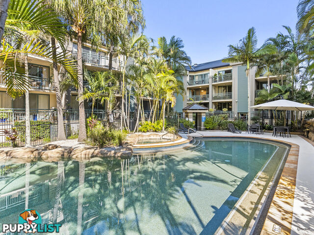 104/955 Gold Coast Highway PALM BEACH QLD 4221