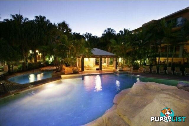 104/955 Gold Coast Highway PALM BEACH QLD 4221