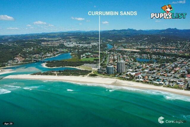 104/955 Gold Coast Highway PALM BEACH QLD 4221