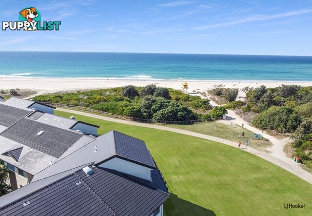 104/955 Gold Coast Highway PALM BEACH QLD 4221