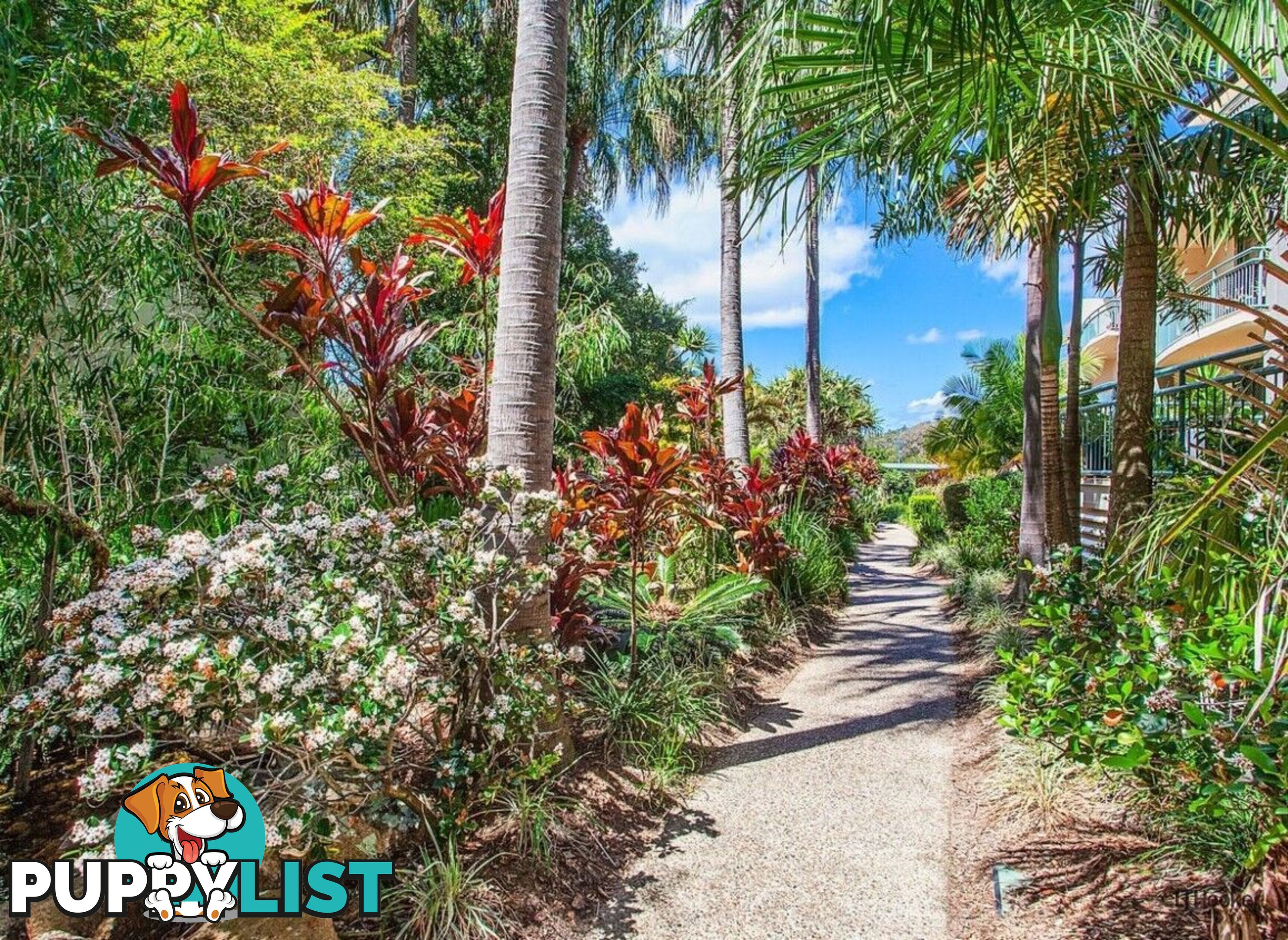 104/955 Gold Coast Highway PALM BEACH QLD 4221