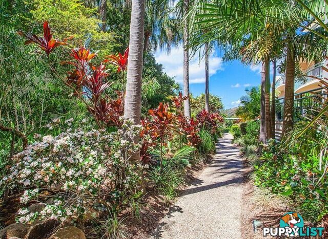104/955 Gold Coast Highway PALM BEACH QLD 4221