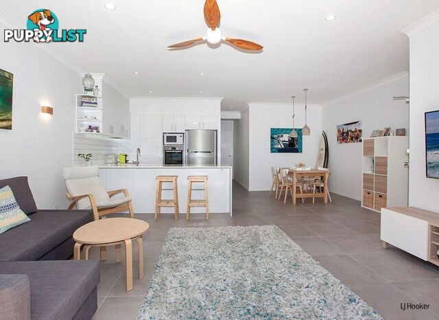 104/955 Gold Coast Highway PALM BEACH QLD 4221