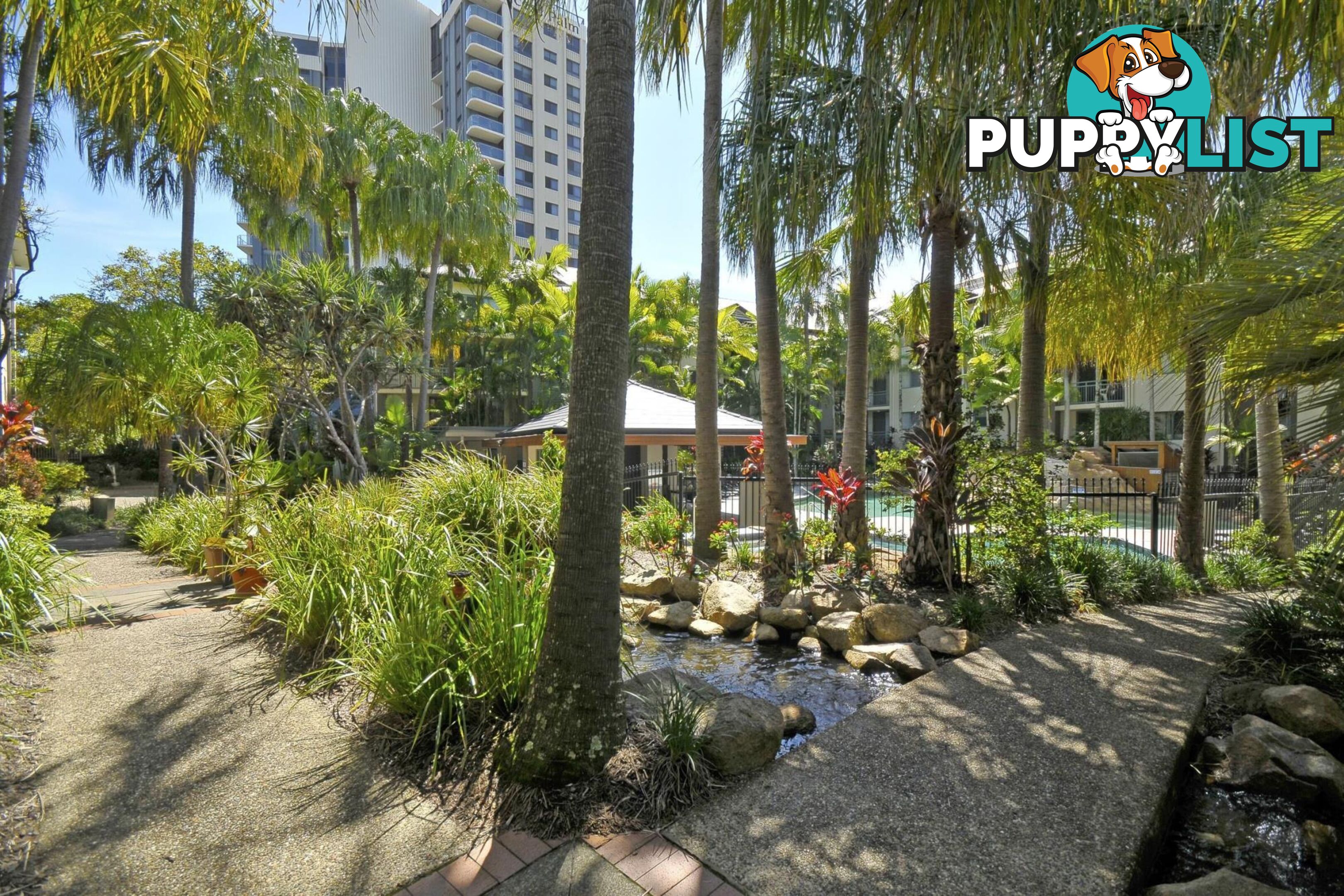 104/955 Gold Coast Highway PALM BEACH QLD 4221