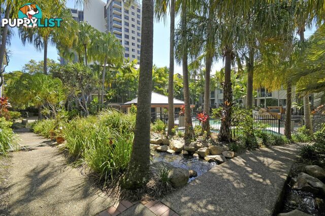 104/955 Gold Coast Highway PALM BEACH QLD 4221