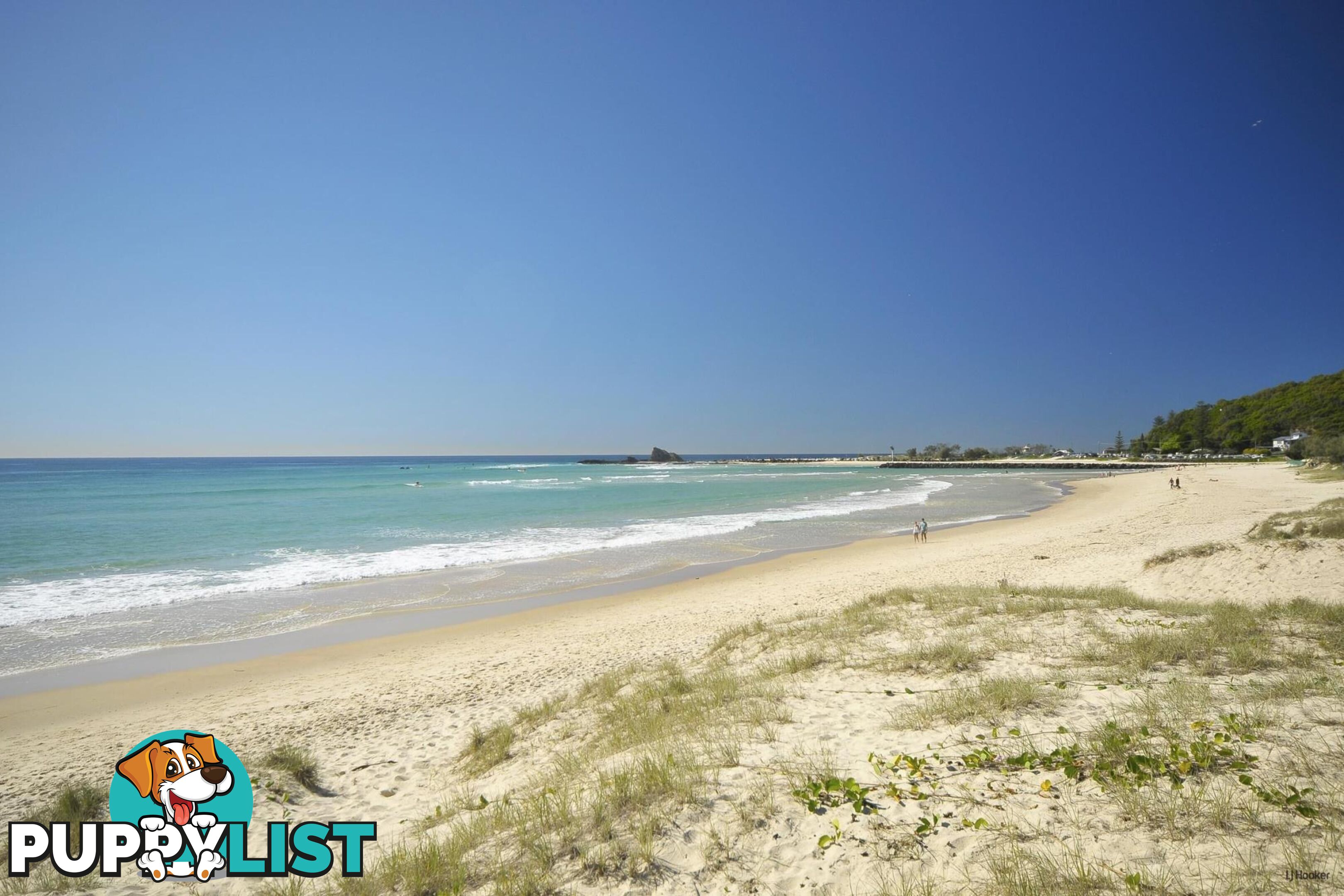 104/955 Gold Coast Highway PALM BEACH QLD 4221