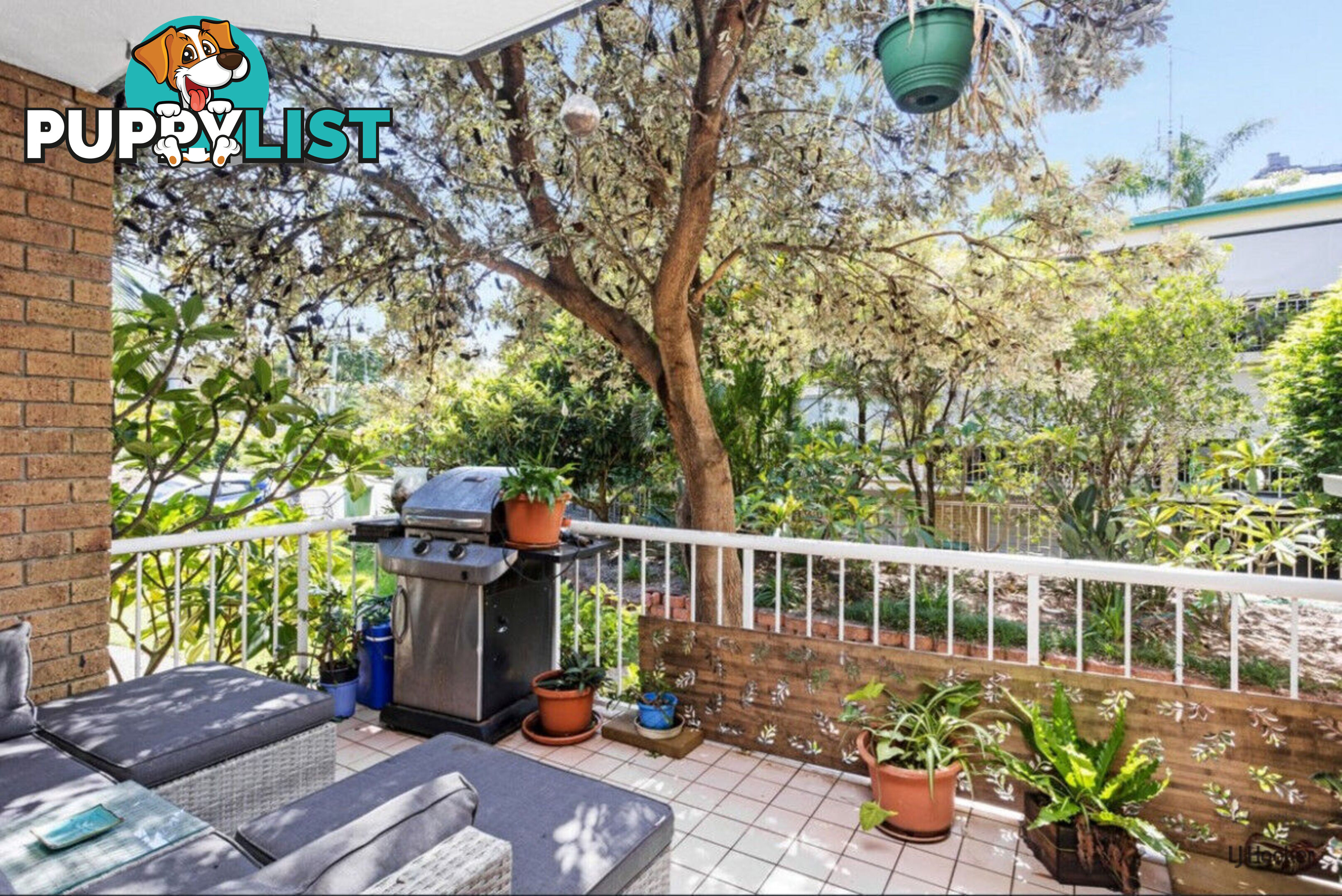 1/14 Mawarra Street PALM BEACH QLD 4221