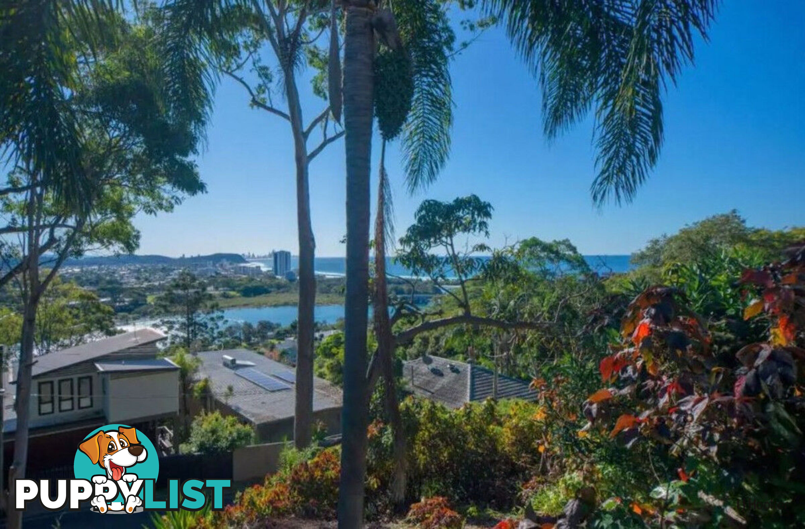 31 Albany Lane CURRUMBIN QLD 4223