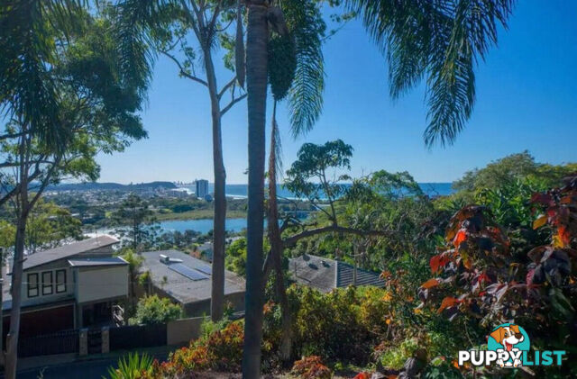 31 Albany Lane CURRUMBIN QLD 4223