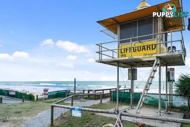 4 Alec Avenue MIAMI QLD 4220