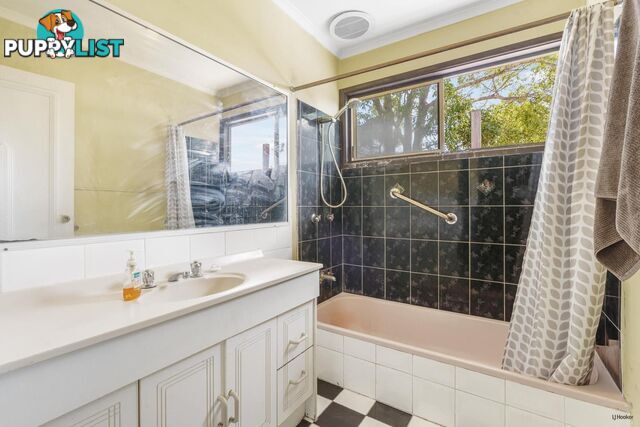 4 Alec Avenue MIAMI QLD 4220