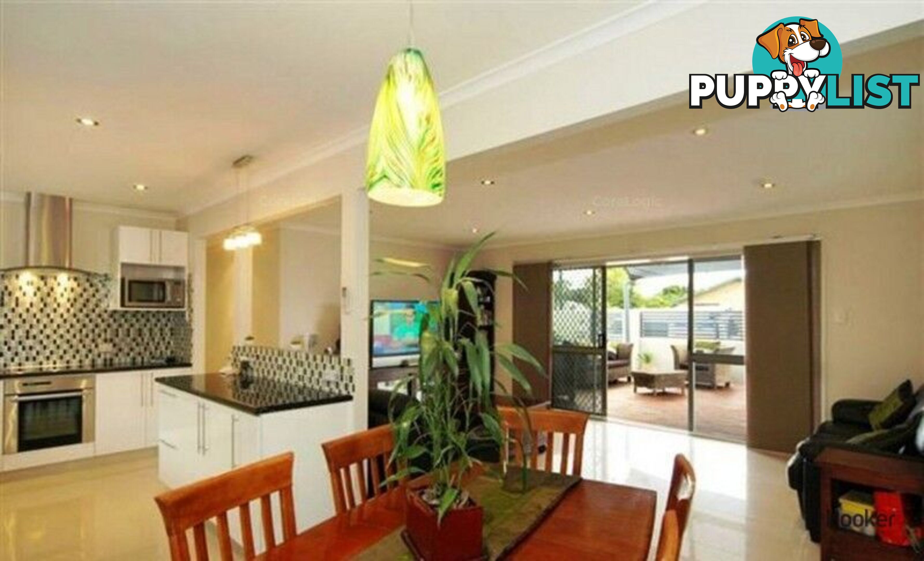 49 Twenty Sixth Avenue PALM BEACH QLD 4221