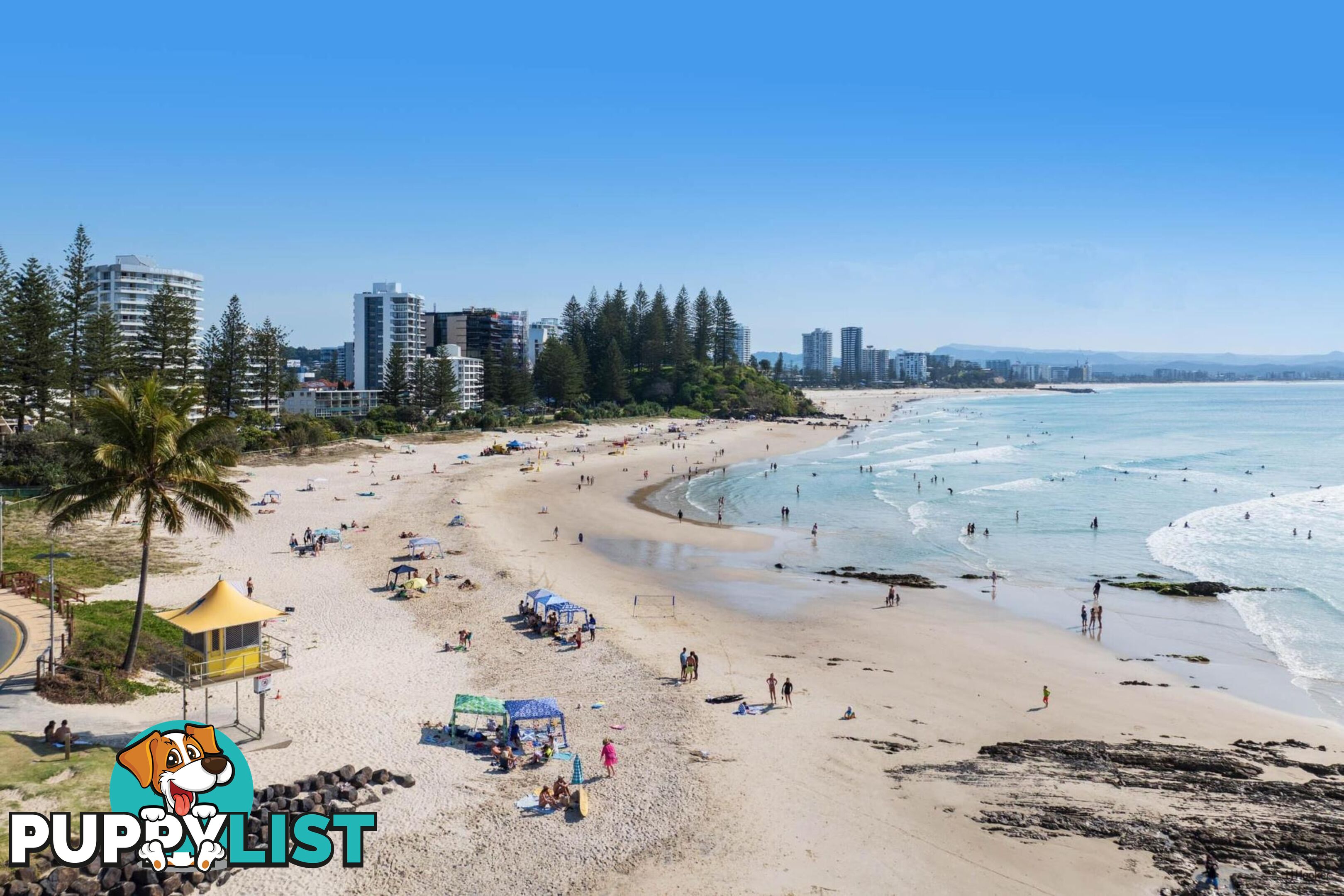43 Dutton Street COOLANGATTA QLD 4225