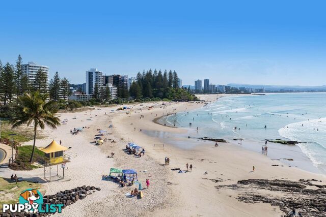43 Dutton Street COOLANGATTA QLD 4225