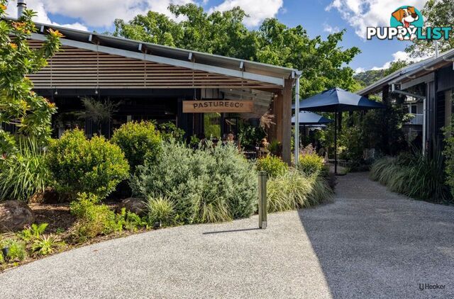2 Mooligum Way CURRUMBIN VALLEY QLD 4223