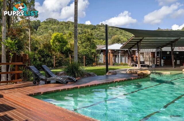 2 Mooligum Way CURRUMBIN VALLEY QLD 4223