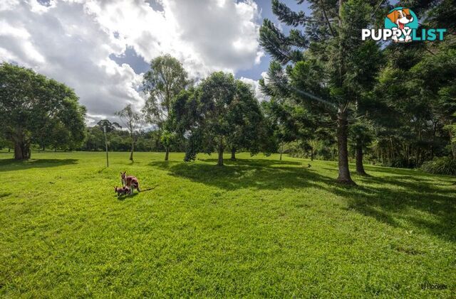 2 Mooligum Way CURRUMBIN VALLEY QLD 4223