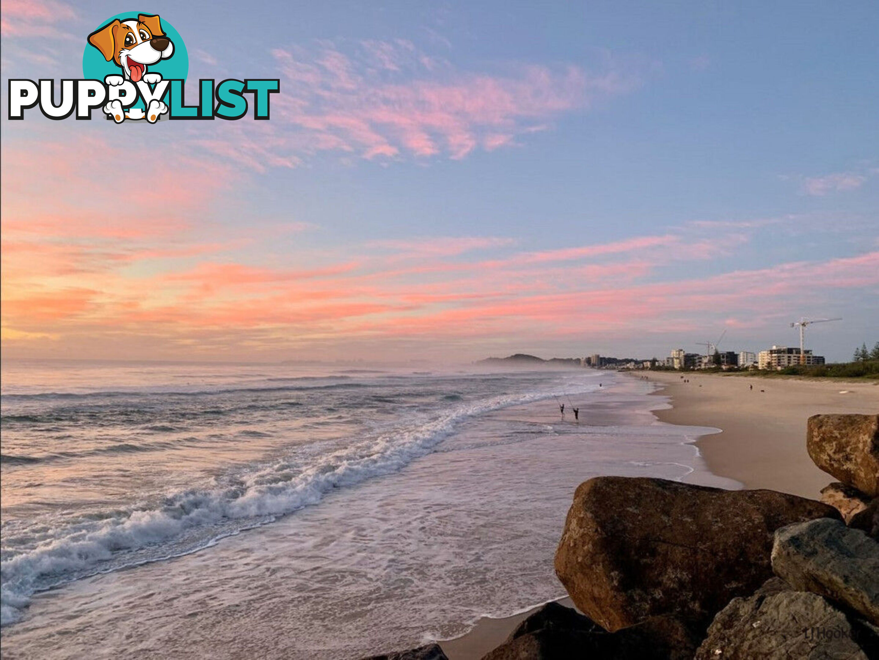 4/1396 Gold Coast Highway PALM BEACH QLD 4221