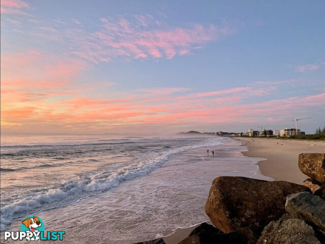 4/1396 Gold Coast Highway PALM BEACH QLD 4221