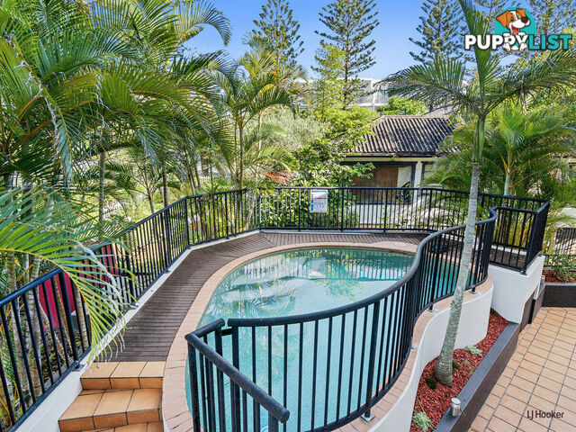 4/1396 Gold Coast Highway PALM BEACH QLD 4221