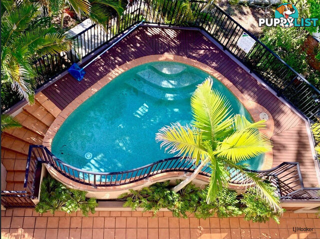 4/1396 Gold Coast Highway PALM BEACH QLD 4221