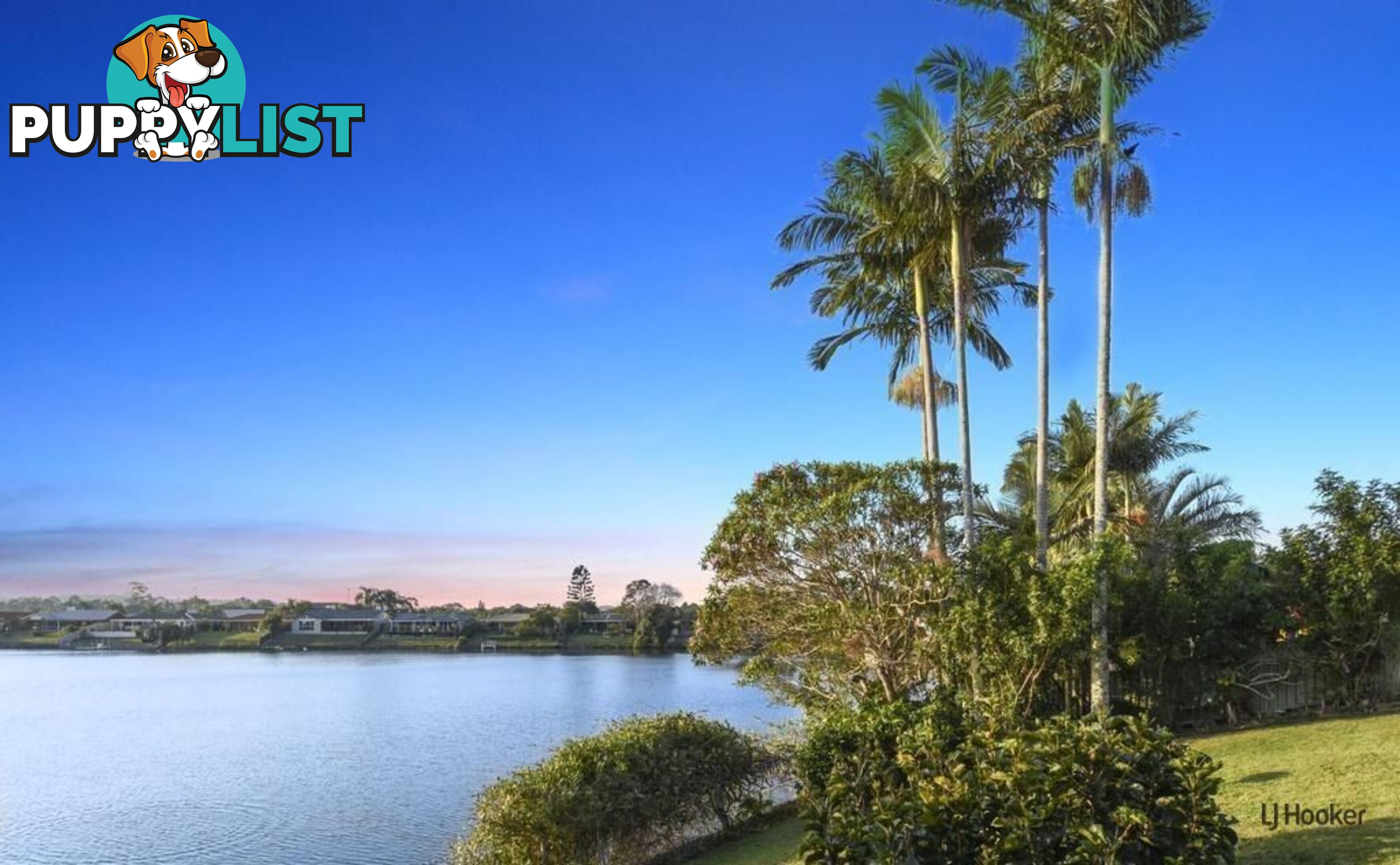 21 Ironbark Street ELANORA QLD 4221
