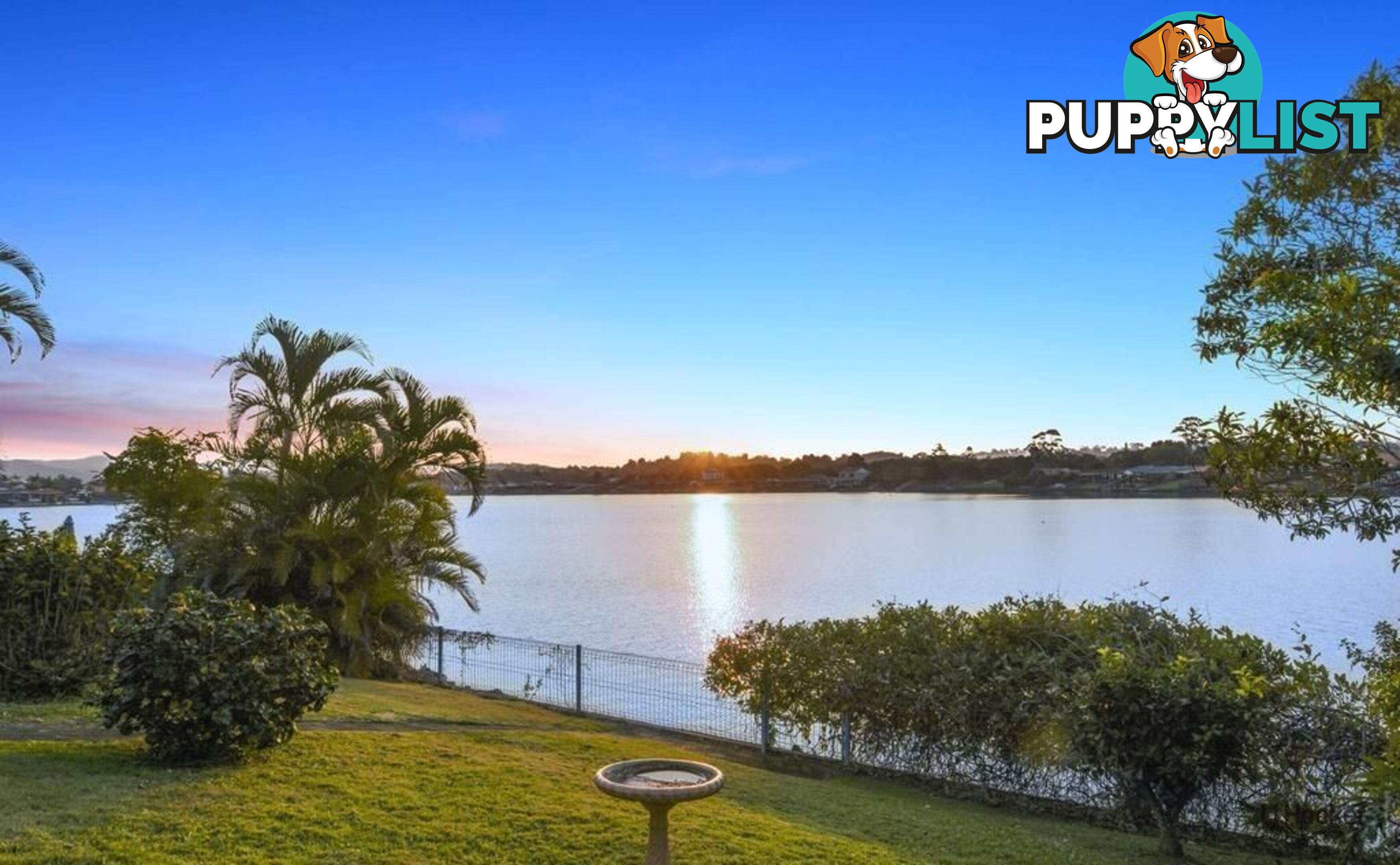 21 Ironbark Street ELANORA QLD 4221