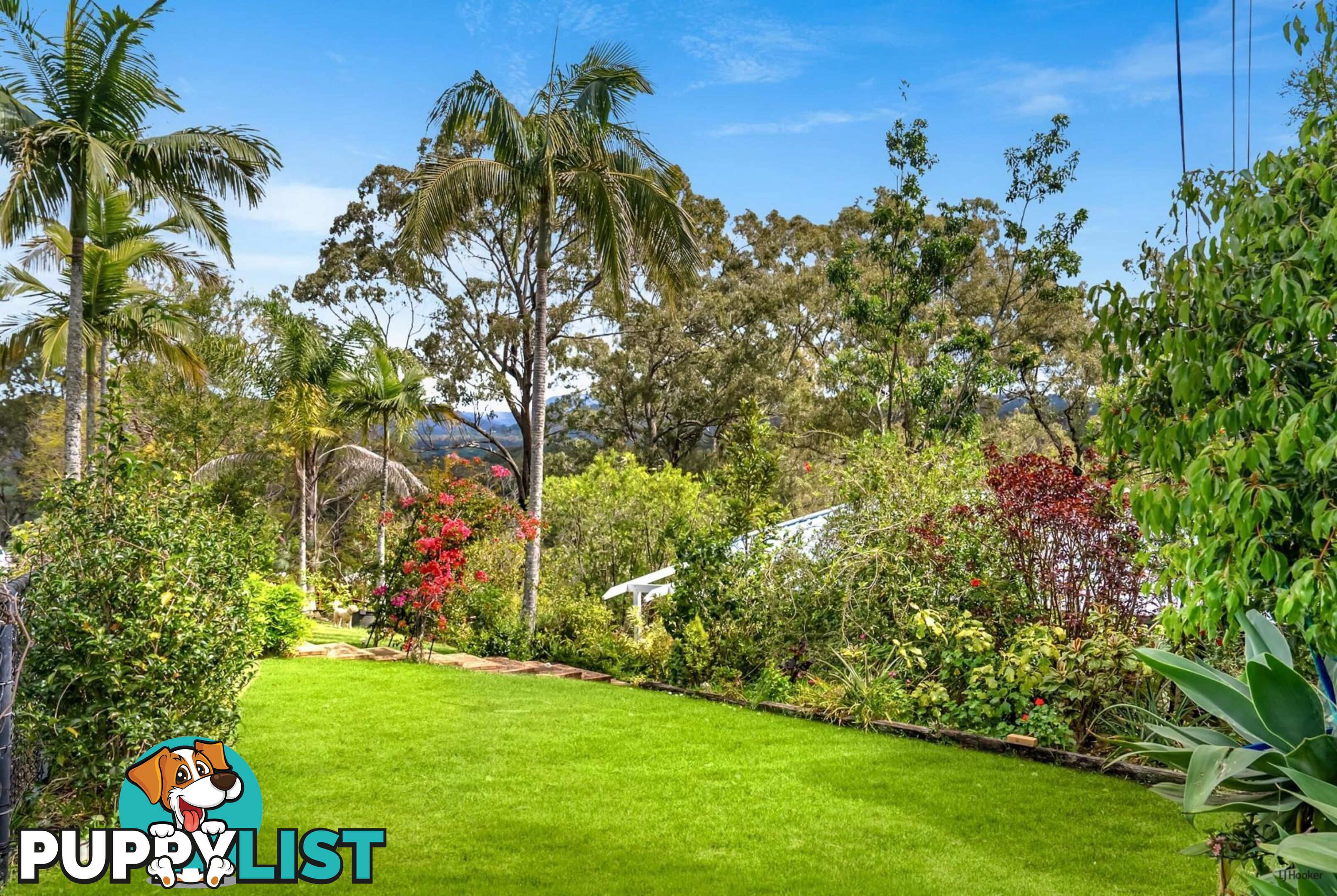 46 Sullivan Road TALLEBUDGERA QLD 4228