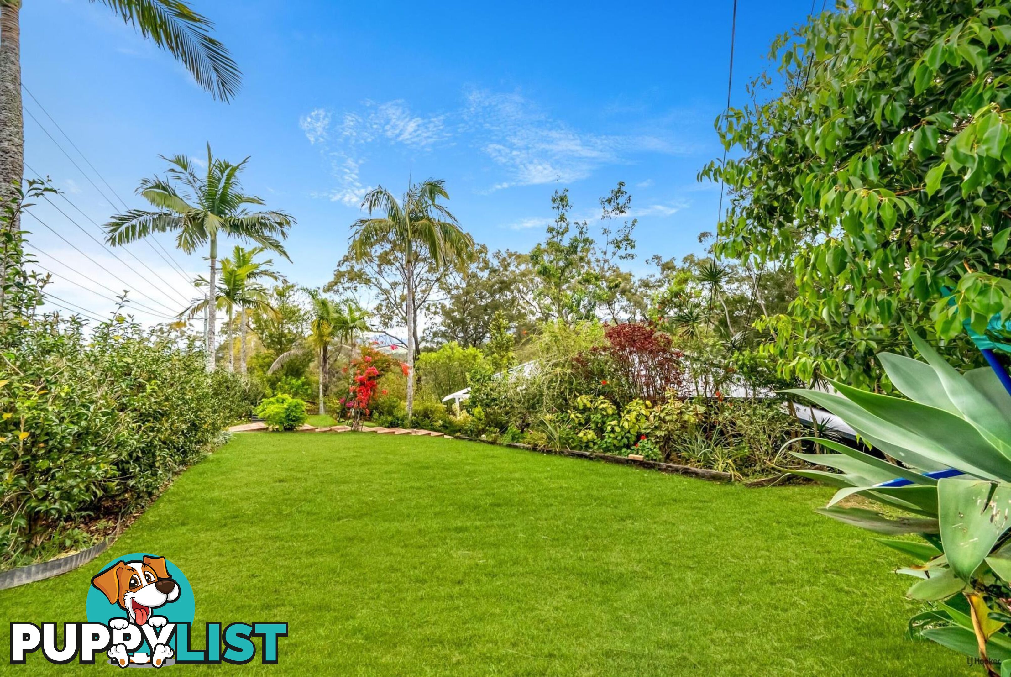 46 Sullivan Road TALLEBUDGERA QLD 4228