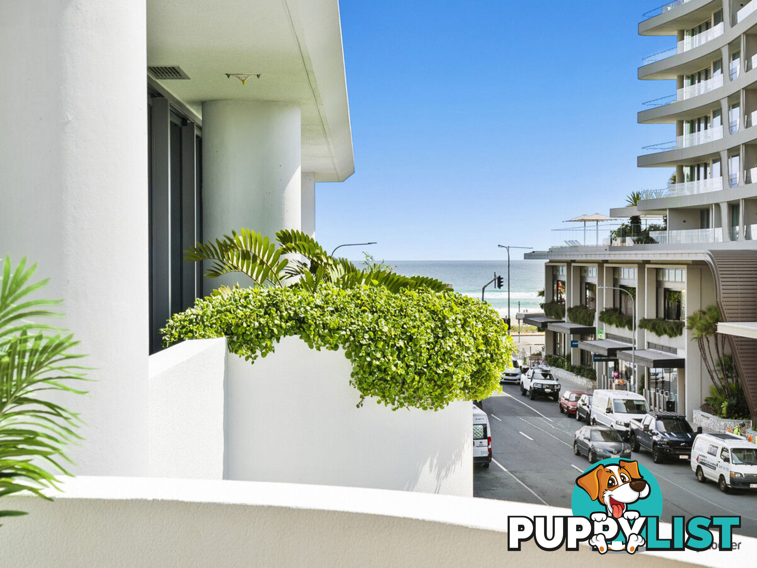 304/100 Musgrave Street COOLANGATTA QLD 4225