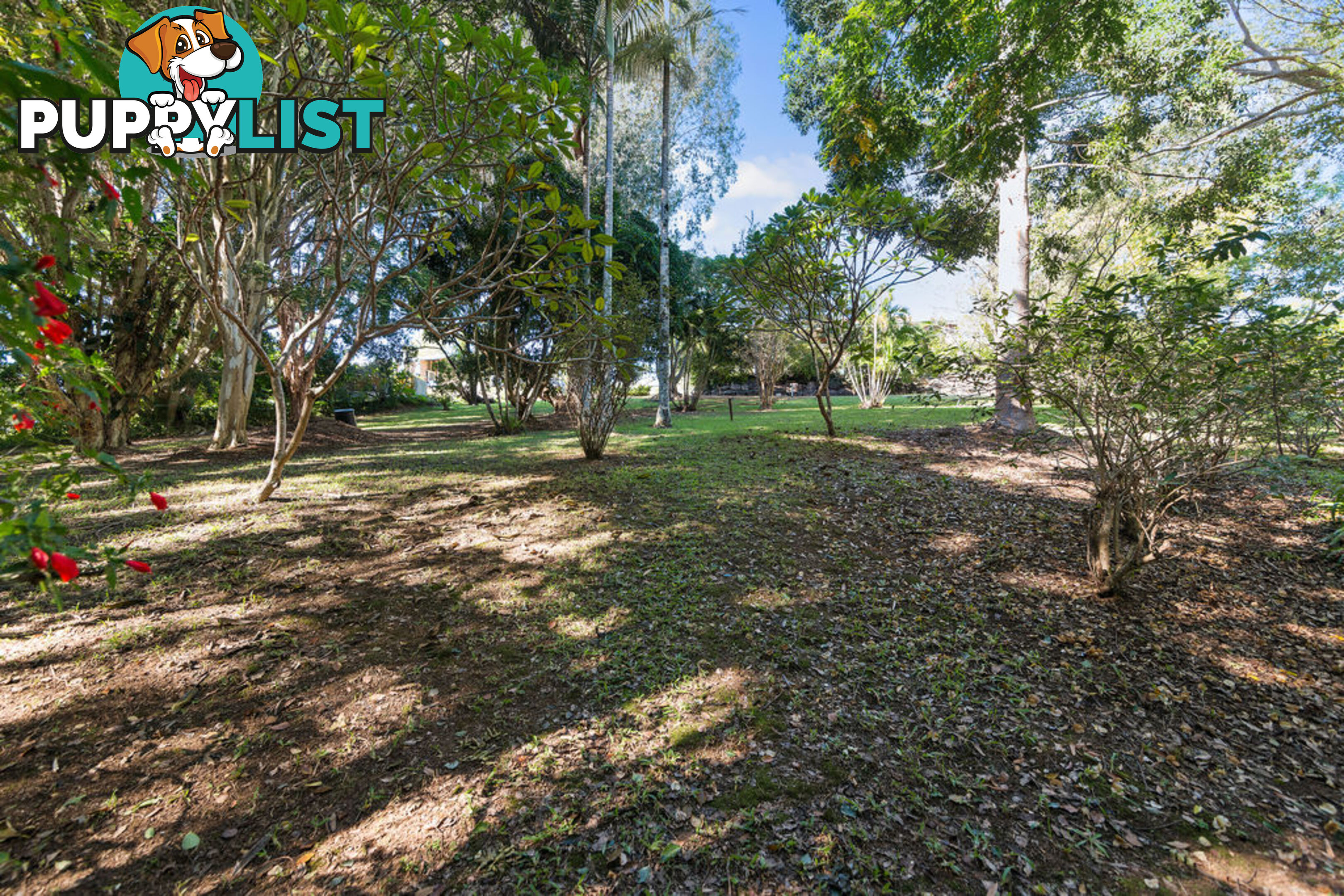 115 Tierney Drive CURRUMBIN WATERS QLD 4223