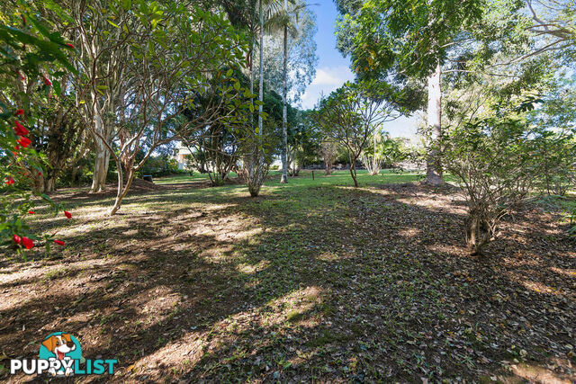 115 Tierney Drive CURRUMBIN WATERS QLD 4223