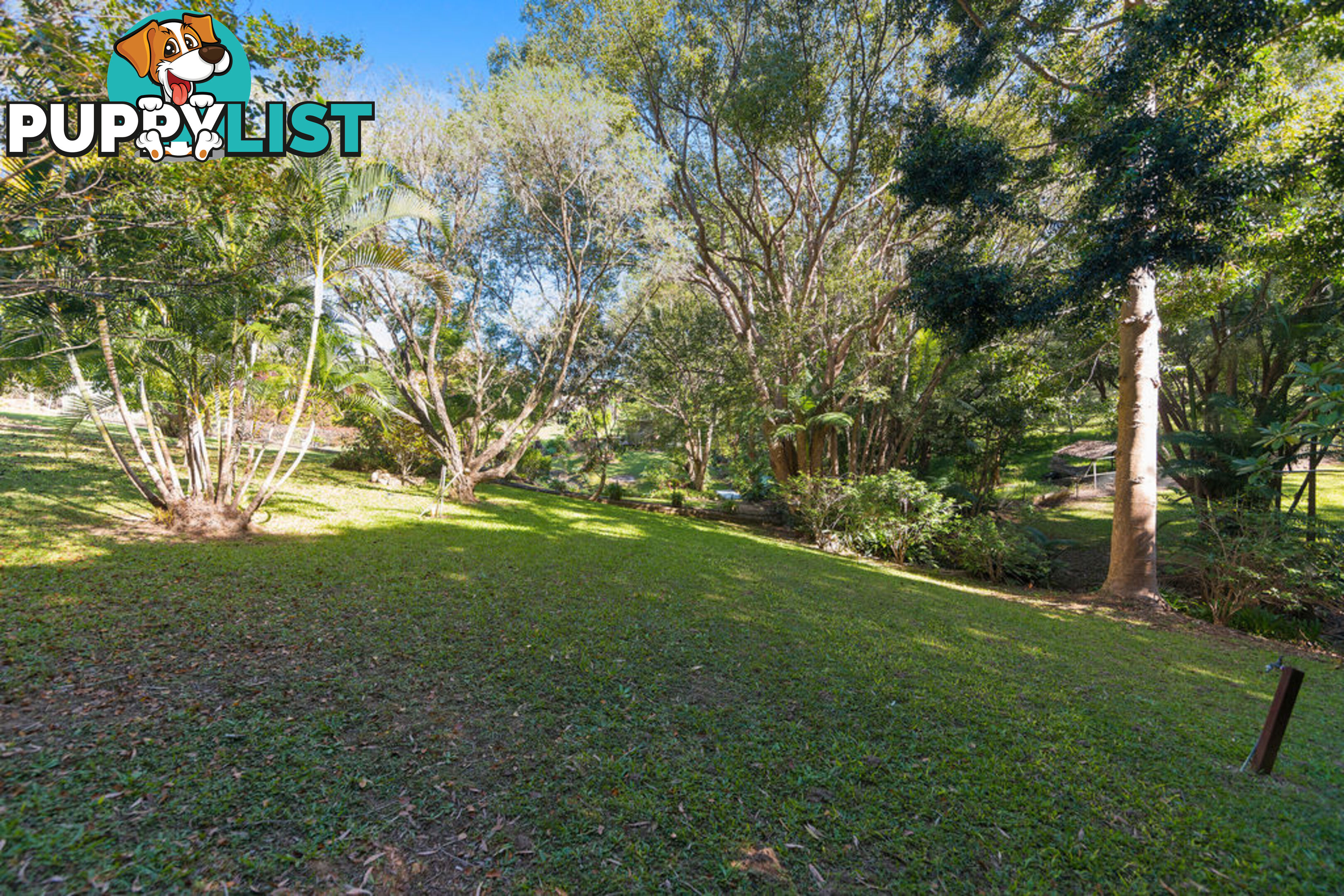 115 Tierney Drive CURRUMBIN WATERS QLD 4223